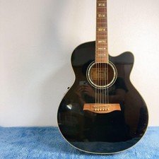 Ibanez AEL 20E Acoustic/Electric Guitar for sale online | eBay
