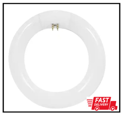 GE LIGHTING FC8T9/CW Circular Fluorescent Bulb, T9 | Imperial Supplies
