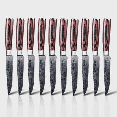 Seido Knives 10-Piece Stainless Steel Serrated Steak Knives Set