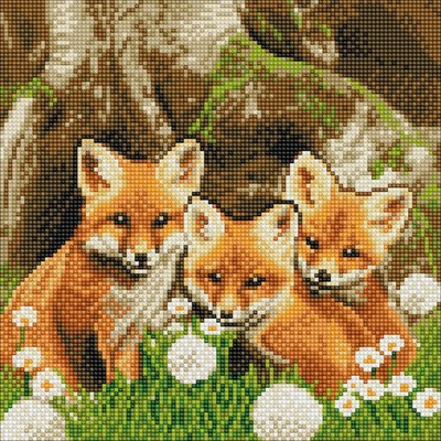 Crystal Art Fuchswelpen 30x30 cm