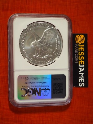 最新作　2024 NGC MS-70 イーグル銀貨　ブラウンラベル 最新作 2024 NGC MS-70 イーグル銀貨 ブラウンラベル 金属工芸