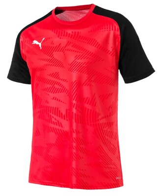 PUMA Men Cup Training Core Shirts S/S Dry-Cell Jersey Red Tee Top