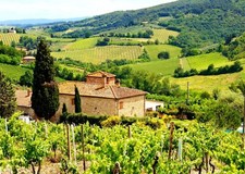 8x6FT Italian Vineyard Backdrop Tuscany Countryside Farm Scenery Photo Prop