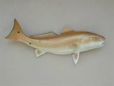 Red Fish Replica 40 Inch Half Mount Call 352-457-9030