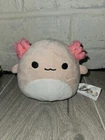 Squishmallow Large 16 Archie