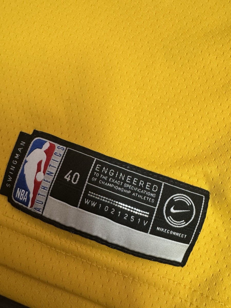 Nike Los Angeles LA Lakers LeBron James #23 NBA Swingman Jersey