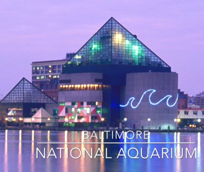 Baltimore Aquarium Discount Coupon