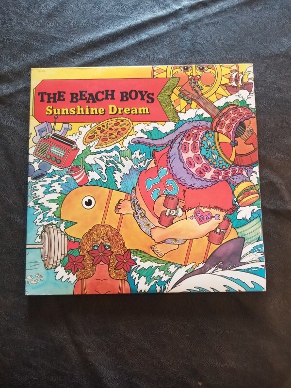 ザビーチボーイズTHE BEACHBOYS Sunshine dream