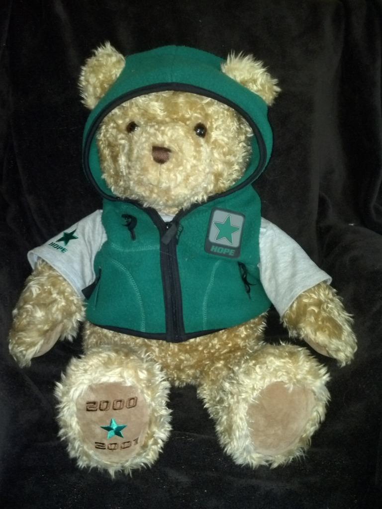 Gund Wish Bear Hope 26