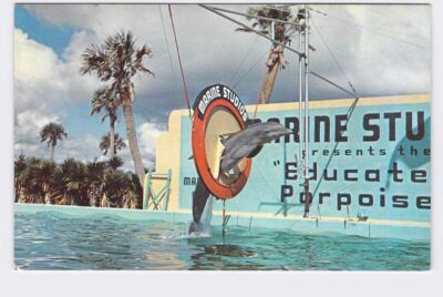 PPC Postcard FL Florida Marineland Marine Studios Florida's Famous Oceanarium Po