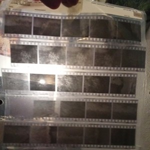 Nature , Structure Negative Lot #12
