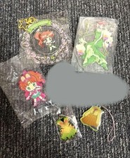 Sailor Moon Jupiter Acsta Charm Keychain Set