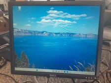 Screen Streaks - Dell UltraSharp 1901FP 19" SXGA DVI-D VGA LCD Monitor 1280x1024