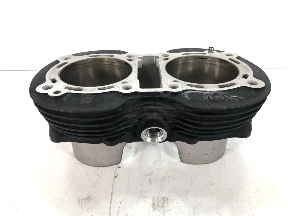 Triumph Thruxton 1200 R 2016 cilindros con pistones Foto 2 de 4