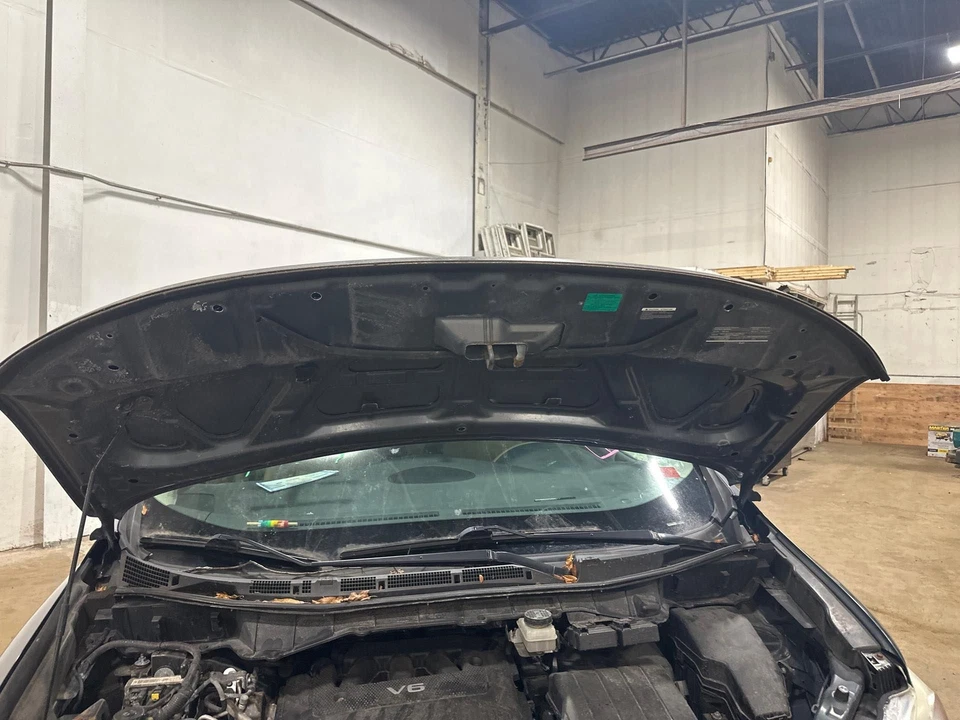 Used Hood fits: 2012 Nissan Quest  Grade A Foto 2 de 4