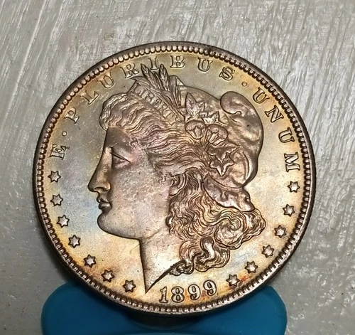 1899 o Morgan Dollar Superb Toned Gem Bu++