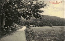 BRAUNLAGE AK um 1910 Frauen Bank a.d. Gemeind...