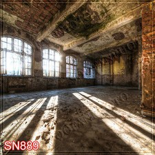 Indoor 10'x10' Computer/Digital Vinyl Scenic Photo Background Backdrop SN889B881