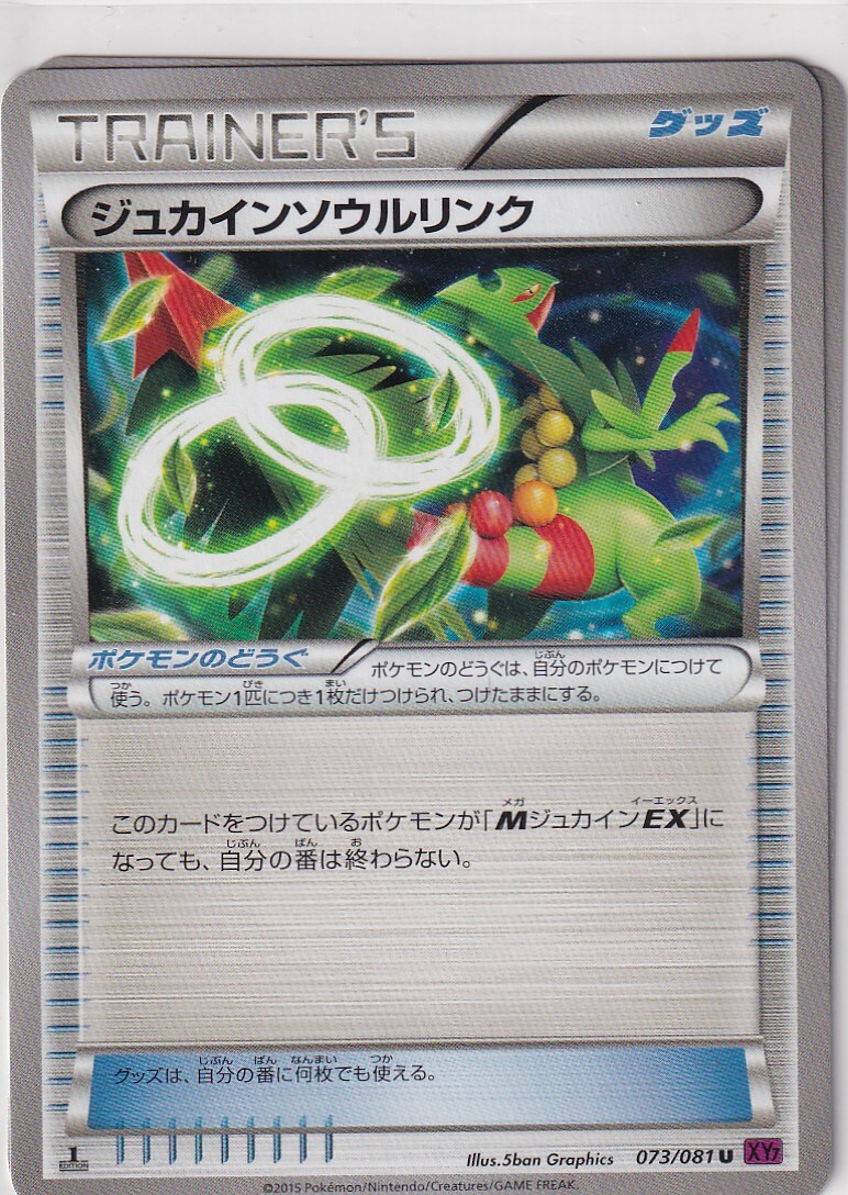 Pokemon Karte XY7 Bandit Ring 73/81 Sceptile Spirit Link First