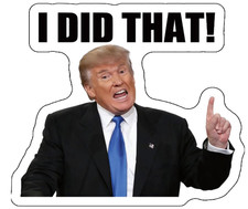 100x Trump I Did That Stickers   Waterproof Vinyl Decal Pack, B