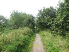 Photo 12x8 Bridleway along the River Maun New Ollerton The river is not fa c2019