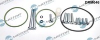 Dr.Motor Automotive DRM046 Reparaturset, Vakuumpumpe (Bremssystem) FüR Audi
