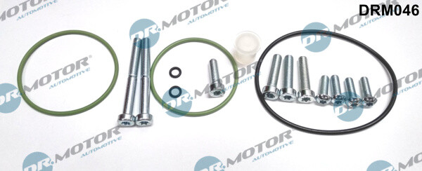 Dr.Motor Automotive DRM046 Reparaturset, Vakuumpumpe (Bremssystem) FüR Audi-image