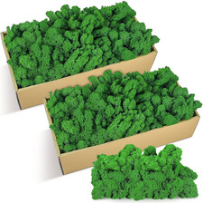 1.32 Lbs Moss Preserved 21.2 Oz Green Preserved Reindeer Moss Bulk Artificial De