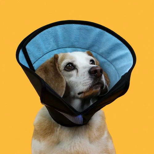 Calmer Collar Small KVP International - Picture 1 of 5