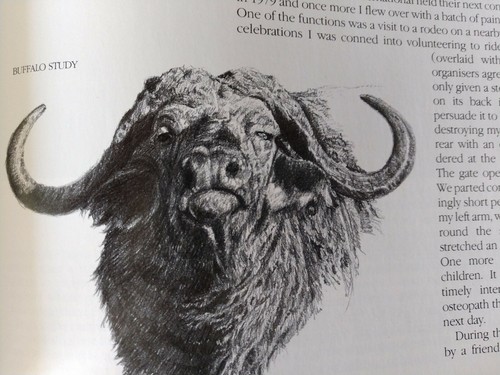 An African Experience : Wildlife Art and Adventure in Kenya (1989, Hardcover - Picture 5 of 11