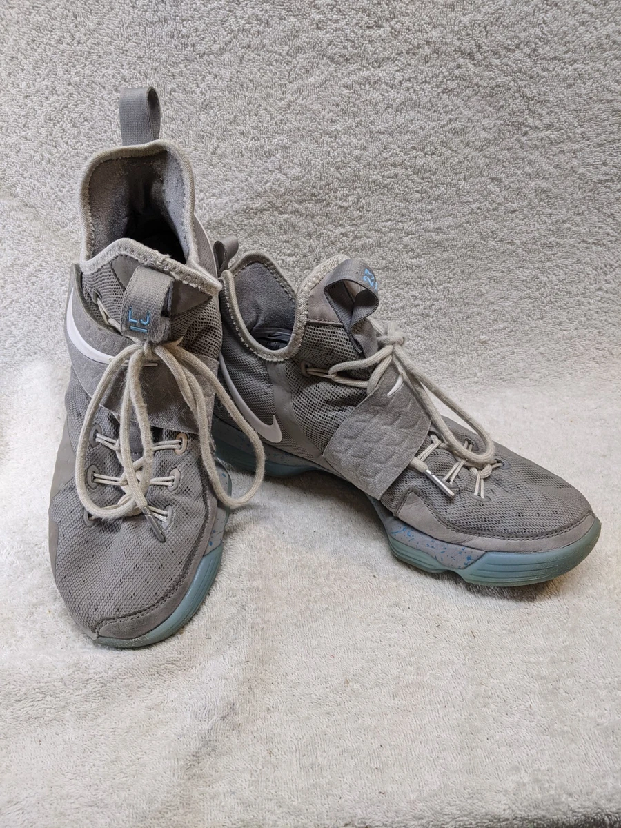 Lebron 14 back cheap to the future