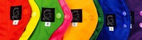 Starter Pack Rainbow Collection - 8 Pack:2 Panty Liners 7.5, 2 Regular 9.75, 2 Starter Pack Rainbow Collection - 8 Pack:2 Panty Liners 7.5, 2 Regular 9.75, 2