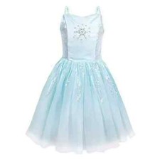 Disney Store Frozen Elsa Ballet Dance Leotard Tutu Costume Dress Size 4