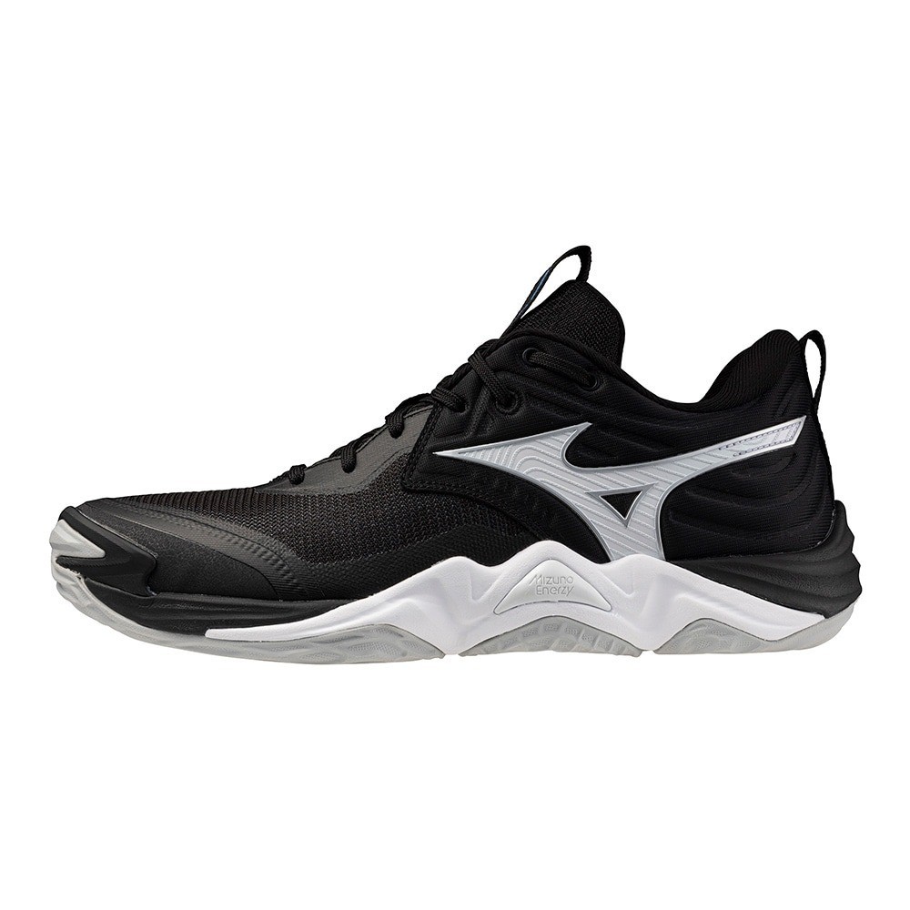 Mizuno Volleyball Shoes WAVE MOMENTUM ELITE V1GA251254 Black