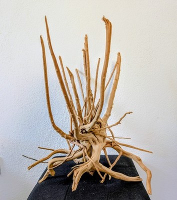 Moorwurzel Spiderwood Aquarium Aquascaping Terrarium Fingerwurzel Moorkien Deko