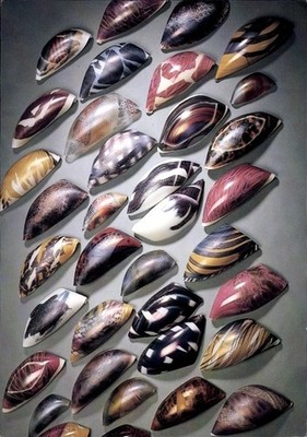 Postcard Hanseatic City of Bremen, exhibition Isgard Moje-Wohlgemut, glass II - 5072424