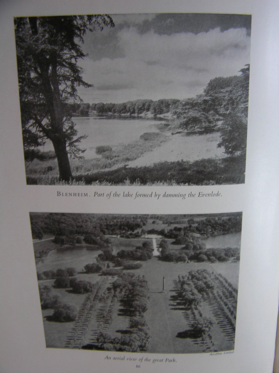 アート・デザイン・音楽 Capability Brown Dorothy Stroud Capability