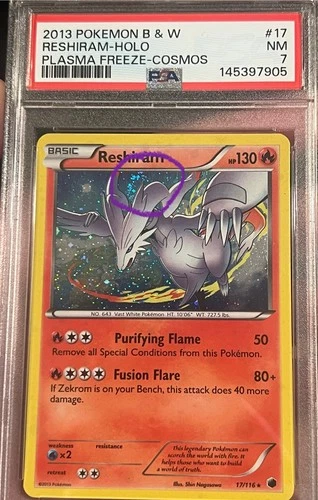 SWIRL - PSA 7 Reshiram Plasma Freeze Cosmos Holo 17/116 2013 English Pokémon🌀