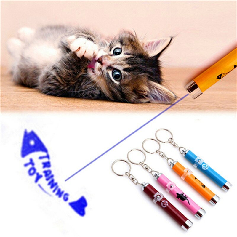 zoflora for dogs