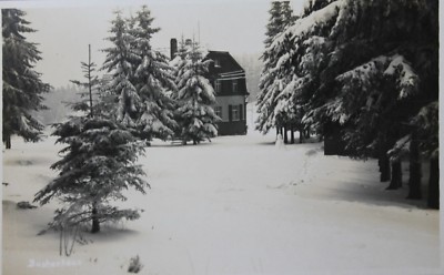 30829 Photo Ak Bad Reiboldsgrün Auerbach IN Vogtland, Buchenhaus, Winter, 1935