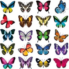 Frienda 40 Pieces Butterfly Anti-Collision Window Clings Large Size Assorted