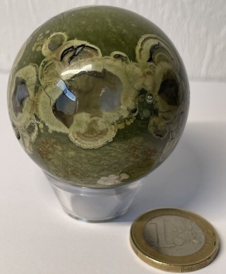 Regenwald-Rhyolith-Kugel (auch als Regenwald-Jaspis oder Auge von Australien be