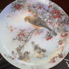 Bradex Nature's Poetry Delicate Accord 1990 Limited Ed Fine China Plate Birds — photo 4