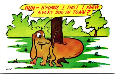 Postcard Animal Humor Weiner Dog Dachsund Wrapped Around Tree B182