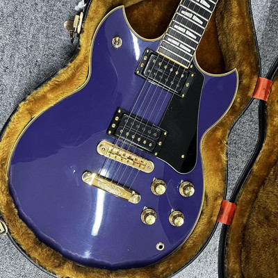 YAMAHA SG-2000 激レアカラー限定 純正ハードケース付き YAMAHA SG-2000 激レアカラー限定 純正ハードケース付き - メルカリ