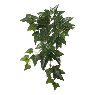 Vickerman 18'' Fabric Artificial English Ivy Hanging Bush in Green (Set of 3)