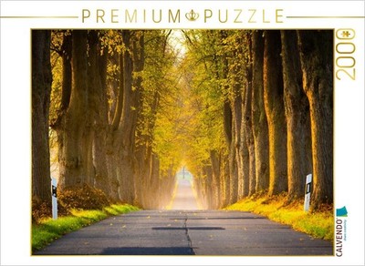 CALVENDO Puzzle Allee im Morgenlicht | 2000 Teile Lege-Größe 90x67cm Foto-Puzzle