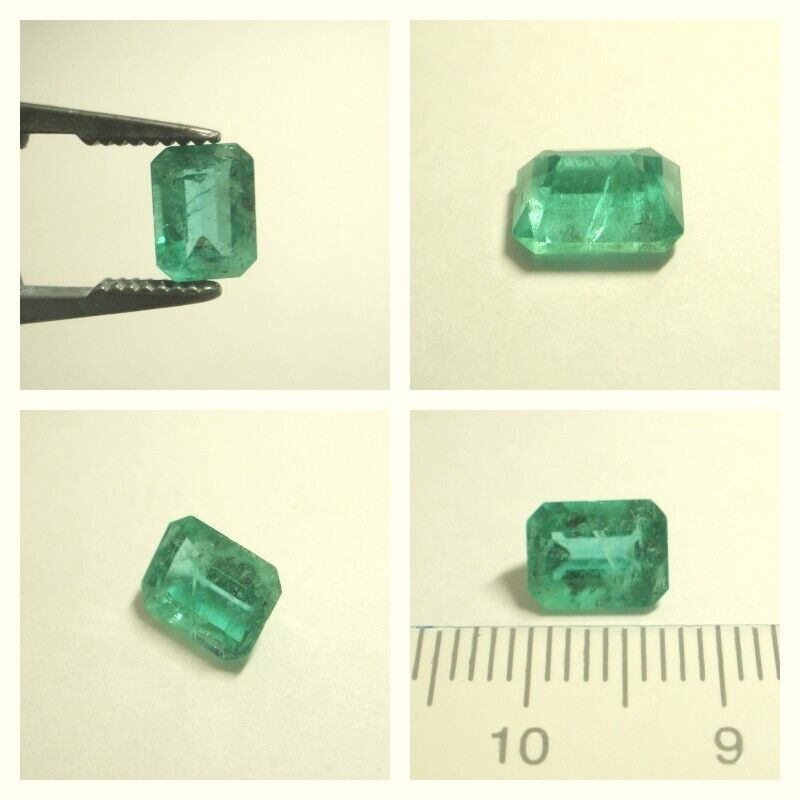 Foto 11 di 11