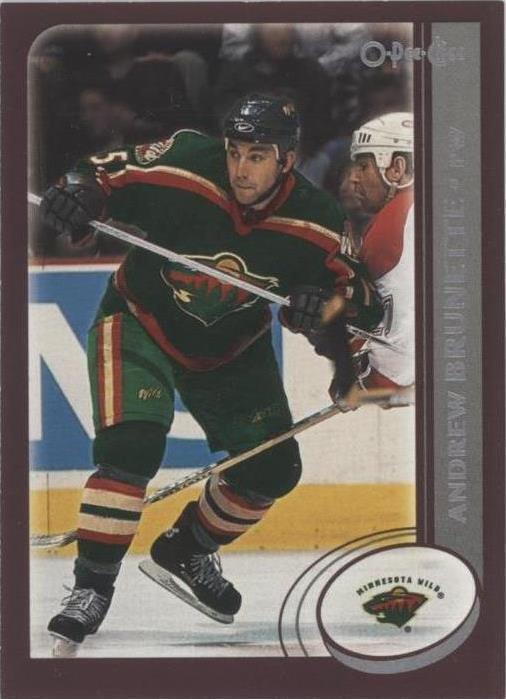 2002-03 O-Pee-Chee - Andrew Brunette #47 - 1 of 1