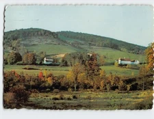 Postcard Having food and raiment let us be therewith content 1 Timothy 6:8